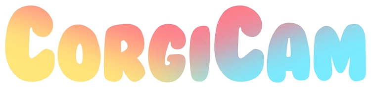 CorgiCam